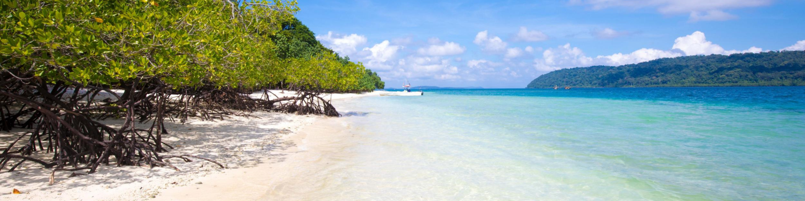 Untitled (1600 x 400 px) (1600 x 400 px) (1)