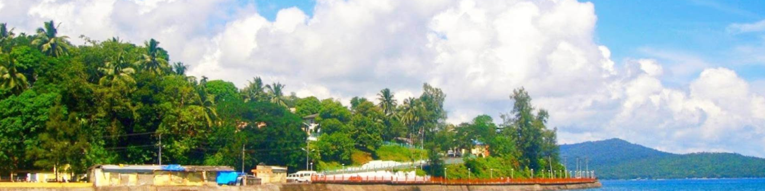 Untitled (1600 x 400 px) (1600 x 400 px) (2)